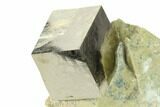 Natural Pyrite Cube In Rock - Navajun, Spain #168496-1